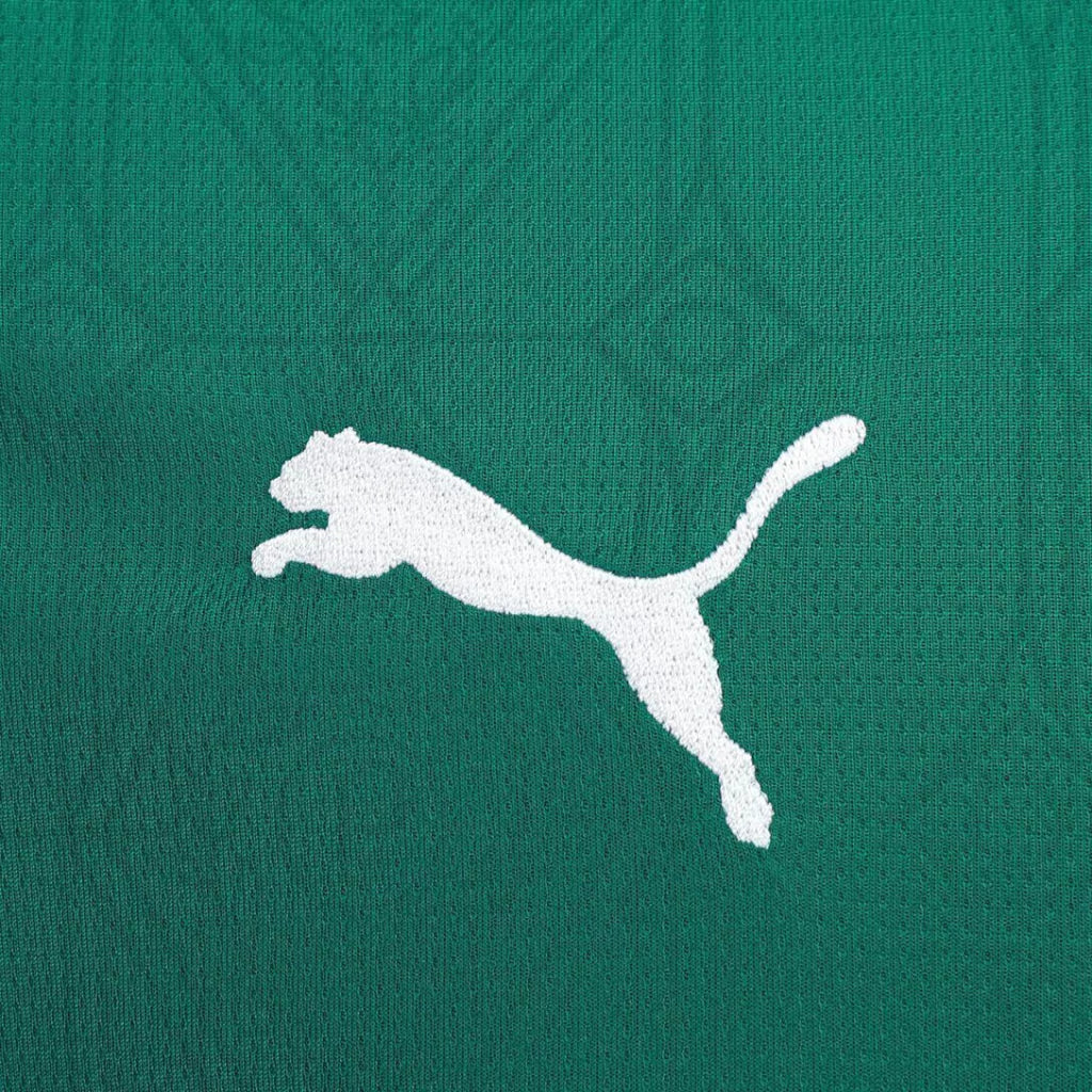 Palmeiras Home 25/26 Jersey
