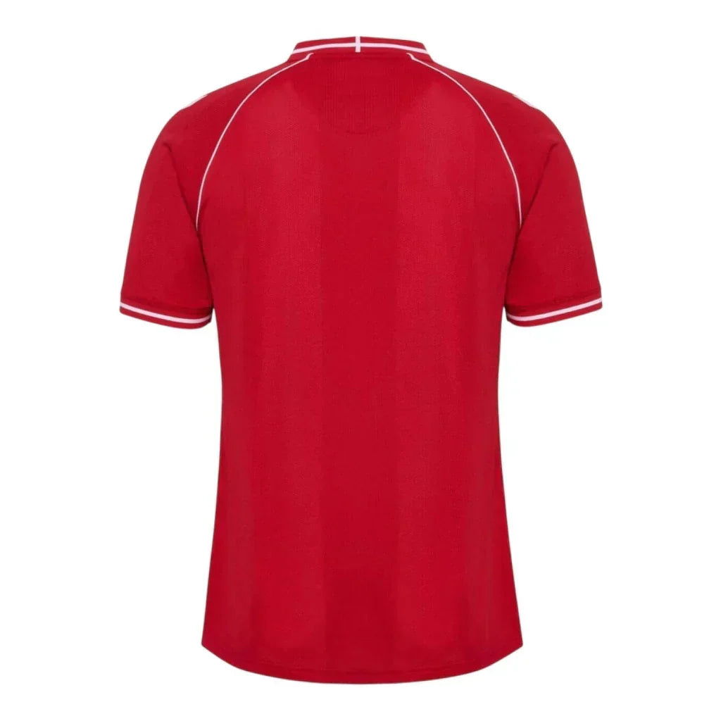 Denmark Home 26/27 Jersey