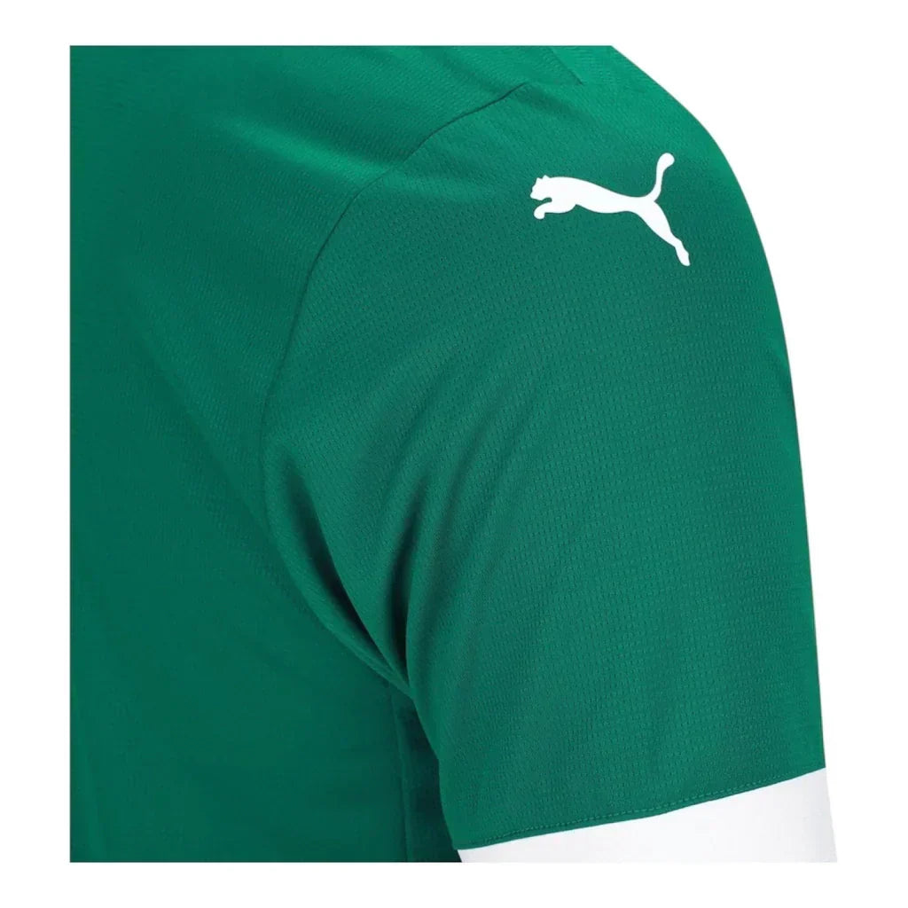 Palmeiras Home 25/26 Jersey