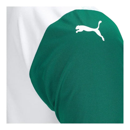 Palmeiras Away 25/26 Jersey